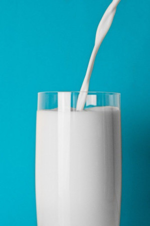 11 La VERITE SUR LE LAIT 11 La VERITE SUR LE LAIT